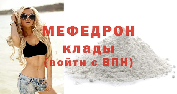 индика Вяземский
