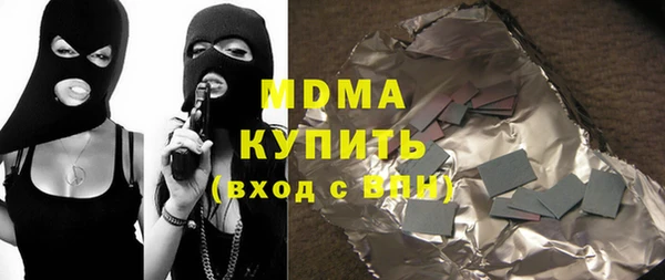 индика Вяземский