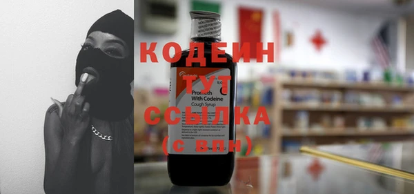индика Вяземский