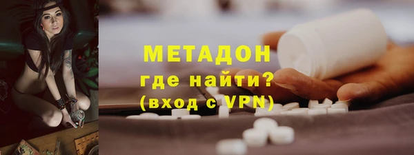 индика Вяземский