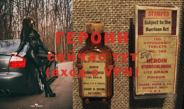 индика Вяземский