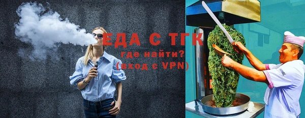 индика Вяземский