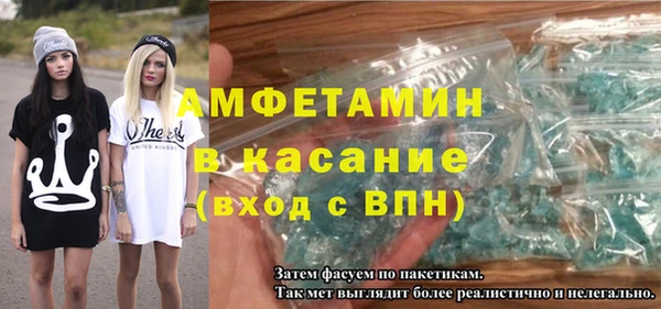 индика Вяземский