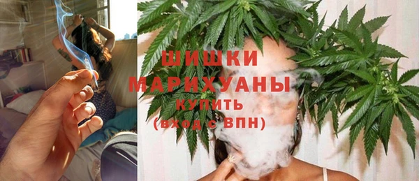 индика Вяземский