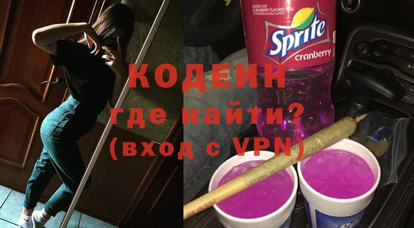 индика Вяземский