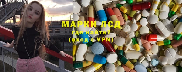 индика Вяземский