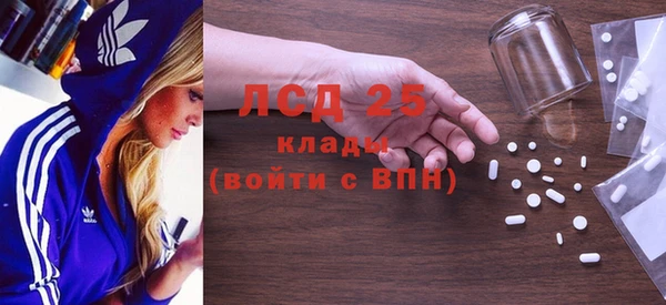 индика Вяземский