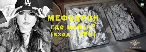 индика Вяземский