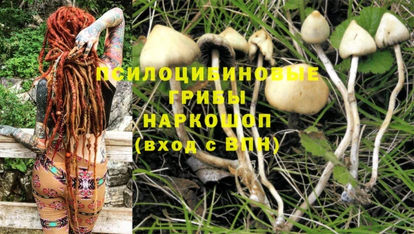 таблы Домодедово