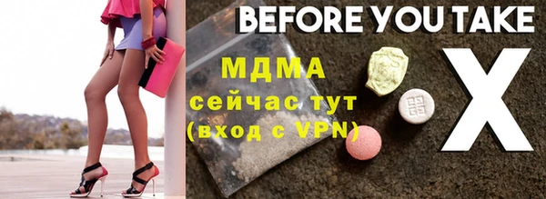 индика Вяземский