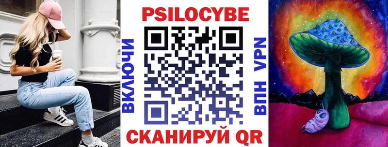 что такое   Калачинск  Псилоцибиновые грибы Magic Shrooms 